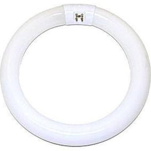 Satco S6509 FC6T9/CW/RS 20W T9 4 Pin Circline