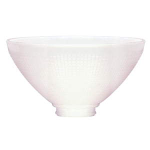 Satco 50-167 I.E.S. Shade 10 in. Diameter 2-7/8 in. Fitter 5-1/2 in. Height