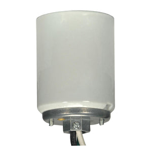 Satco 80-1449 Mogul lamp socket Porclean Glazed finish 1/4 Cap with 20in. leads