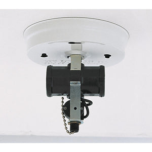 Satco 90-235 2-Light Bent Glass Fixture Holder With Pull Chain Switch White Finish 4-3/4" Diameter 5" Height Includes Hardware