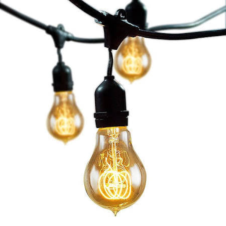 Bulbrite 810004 STRING15/E26-A19KT Clear String Light Pack of (15) Outdoor String Light