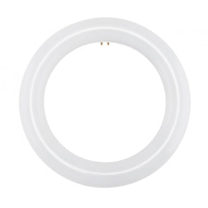 Satco S16501 LED Circline 11 Watt T9 4000K G10Q Base 120-277 Volt Type B Ballast Bypass