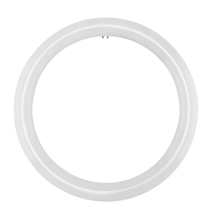 Satco S16503 LED Circline 16 Watt T9 3000K G10Q Base 120-277 Volt Type B Ballast Bypass