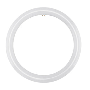 Satco S16505 LED Circline 16 Watt T9 6500K G10Q Base 120-277 Volt Type B Ballast Bypass