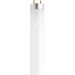 Satco S27931 14 Watt Fluorescent T8 6500K Daylight Medium Bi-Pin (G13) Base