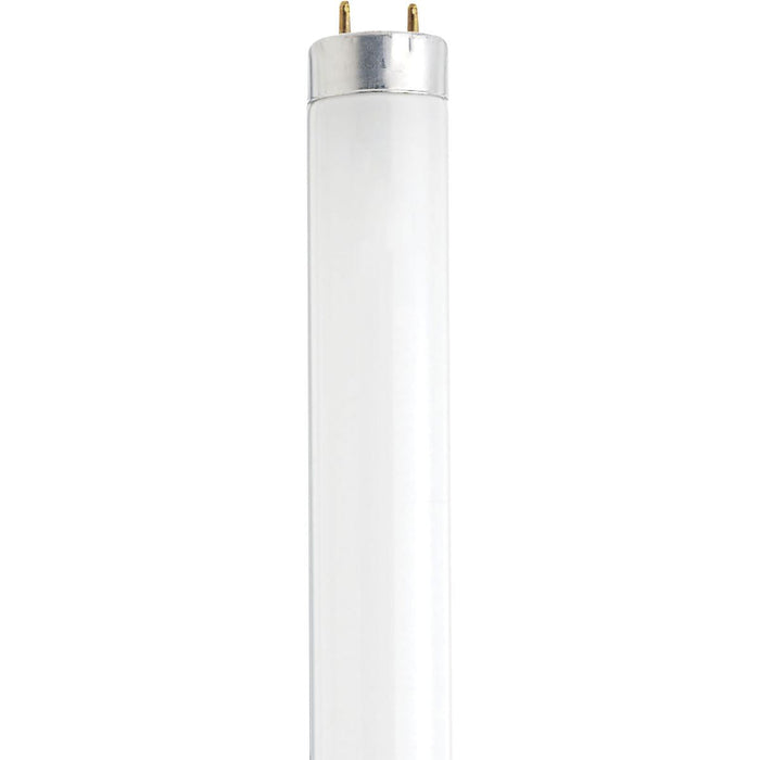 Satco S27931 14 Watt Fluorescent T8 6500K Daylight Medium Bi-Pin (G13) Base