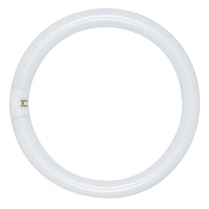 Satco S6506 FC16T9/CW 40 Watt T9 Circline Fluorescent 4100K Cool White 62 CRI 4-Pin base - CASE PACK 12 ONLY