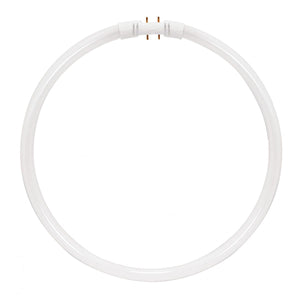 Satco S8157 FC22T5/841 Fc22t5/841 22 Watt T5 Circline Fluorescent 4100K Cool White 82 CRI 2GX13 (4-Pin) base