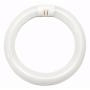 Bulbrite 502112 FC12T9CW 32 Watt Circline T9 Cool White Fluorescent Bulb