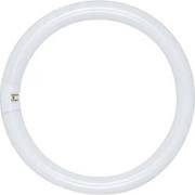 Satco S6503 32 Watt T9 4-Pin (G10q) Base 4,100K Fluorescent Bulb