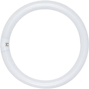 Satco S6502 FC8T9/WW 22 watt 8" T9 Circline Fluorescent Warm White