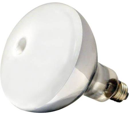 Satco S4394 H39BP-175/DX 39W Mercury Vapor Flood