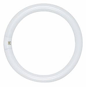 SATCO S6505 FC12T9/WW 32W 12" CIRCLINE 4PIN Warm White